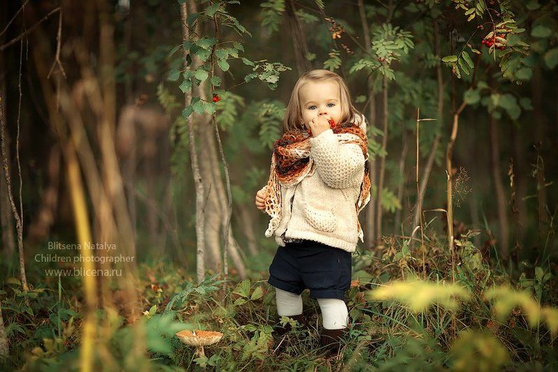 Ягодкаphoto preview