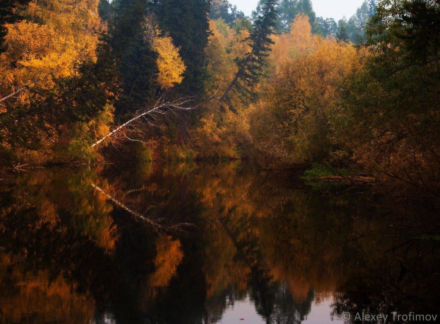 Палитра осени. Автор: Алексей Трофимов Alexey trofimov, Autumn, Trofimov photo, Осень, Пейзаж, Алексей Трофимов