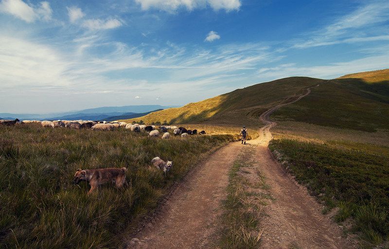 О пастухах и странникахphoto preview