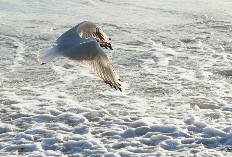 untitled#*11 фото превью