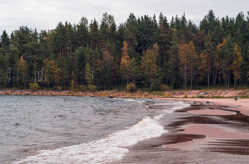 18092016photo preview