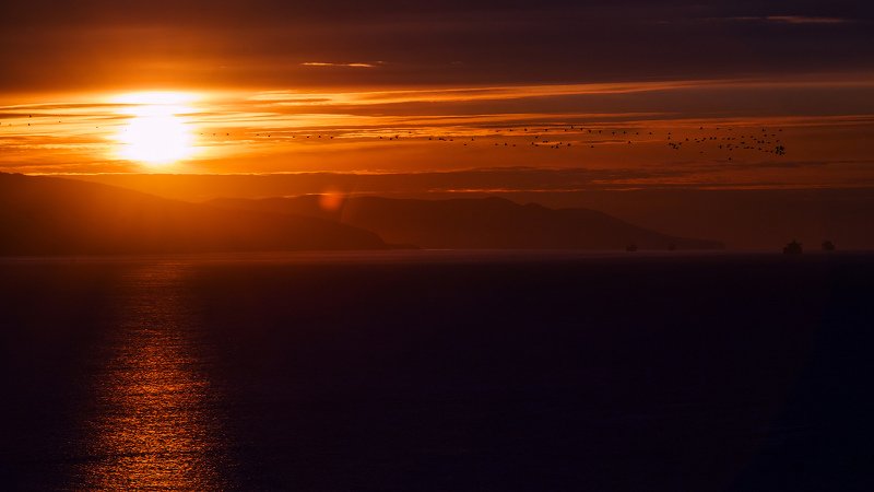 золото рассветаphoto preview