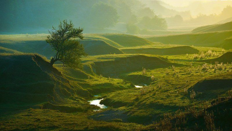 Palilulaphoto preview