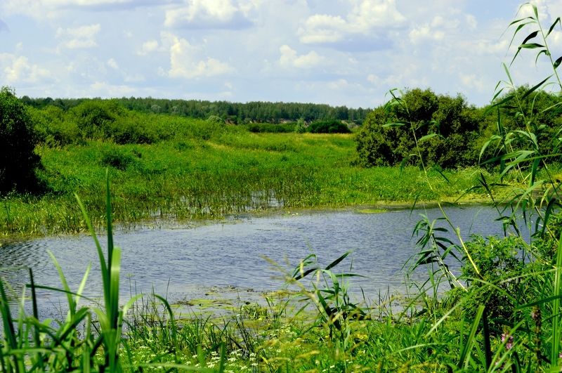 озеро.photo preview