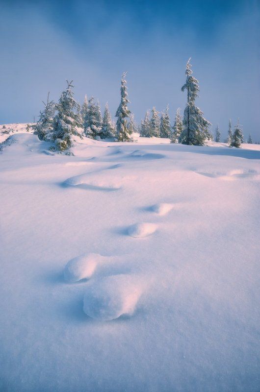 Winter zen фото превью