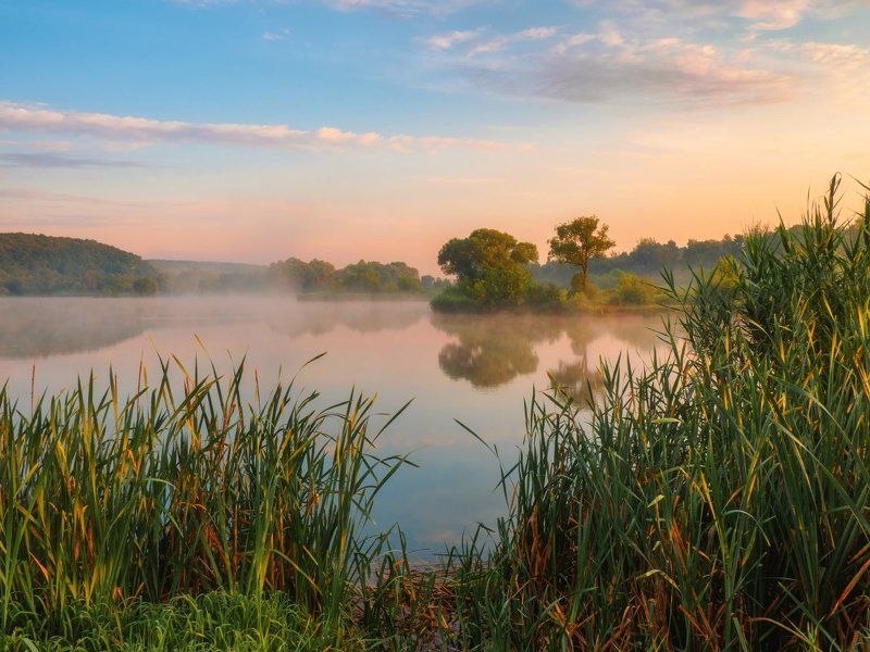 Летнее утроphoto preview