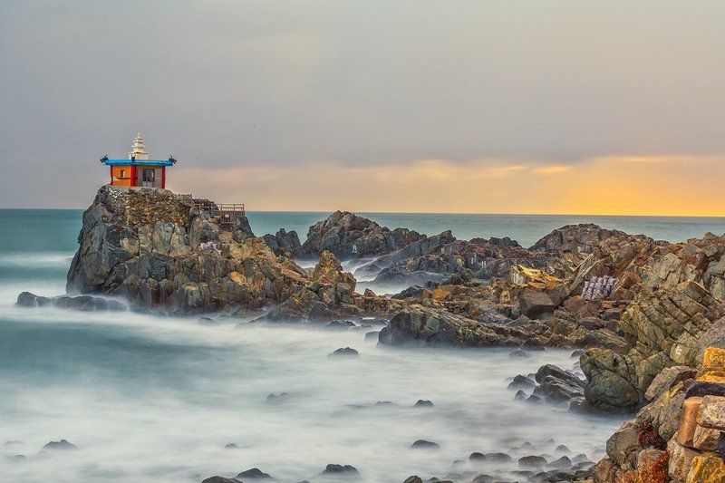 Orangdaephoto preview