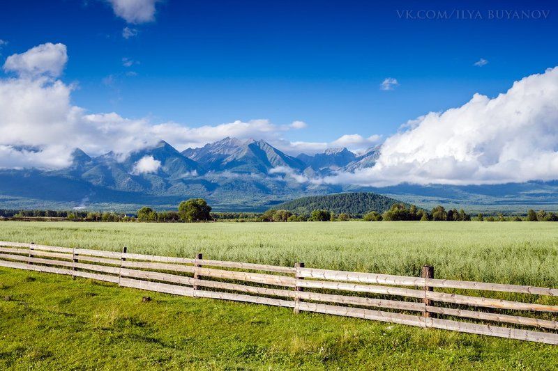 Саяныphoto preview