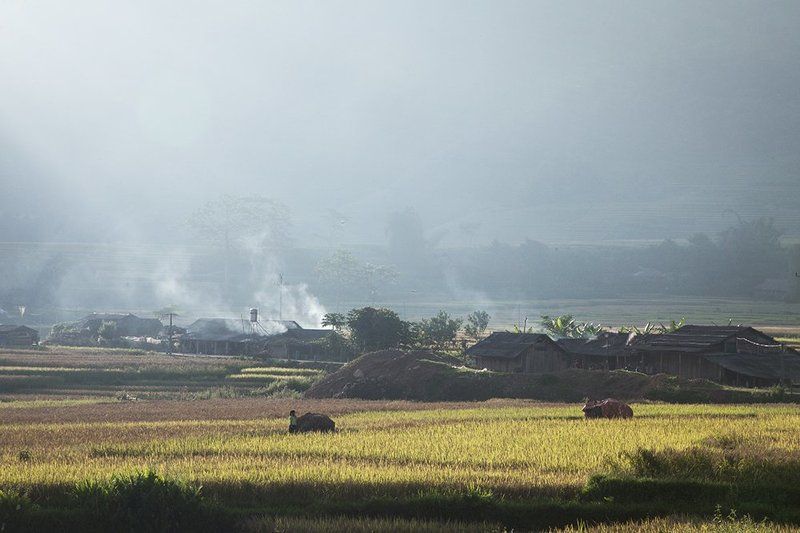 Vietnam villagephoto preview