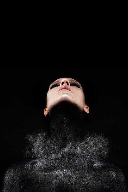 International Floral Art 2016-2017photo preview