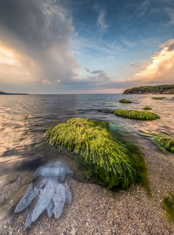 sunset, jellyfish, rock, sea, seascape, lamdscape The end of the summerphoto preview