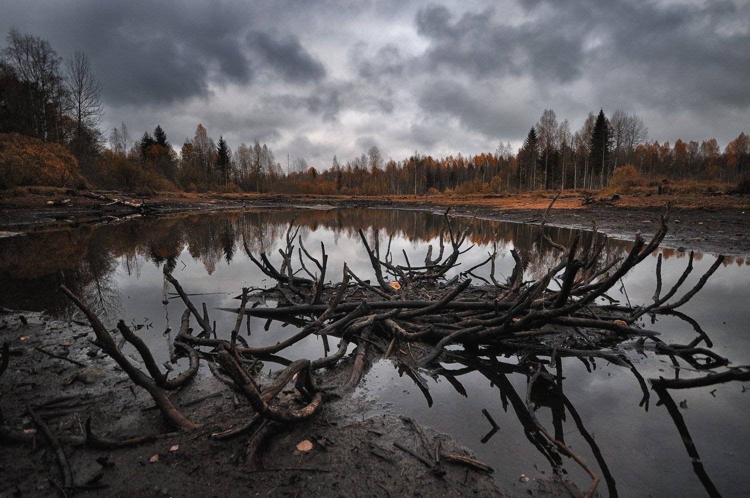 Другая осень. Автор: Андрей Куликов , Андрей Куликов