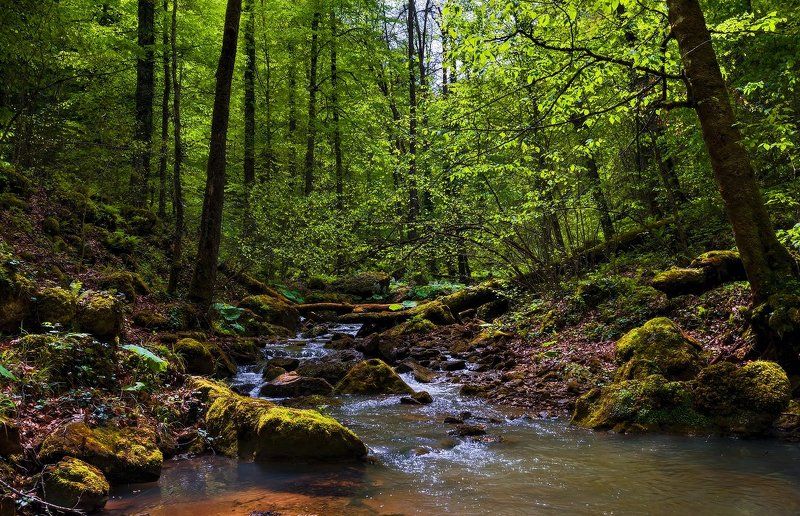 Мезмайские прогулкиphoto preview