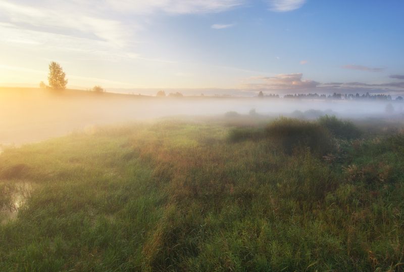 Утренний светphoto preview