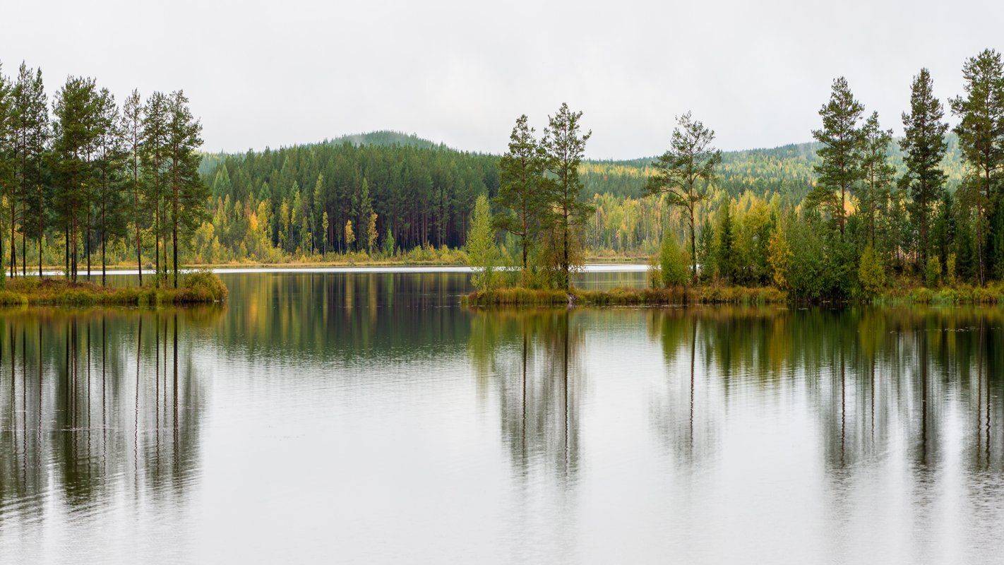 , Воинков Виктор