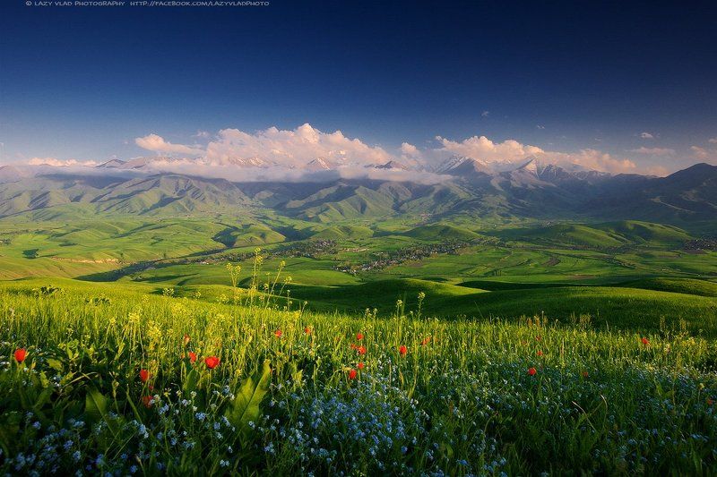 киргизия, жизнь, alamedin, kg, аламедин, ала-тоо, alatoo, kyrgyzstan, mountains, flowers, lazy_vlad, lazyvladphoto, кыргызстан, бишкек, bishkek Маленькая страна высоких горphoto preview