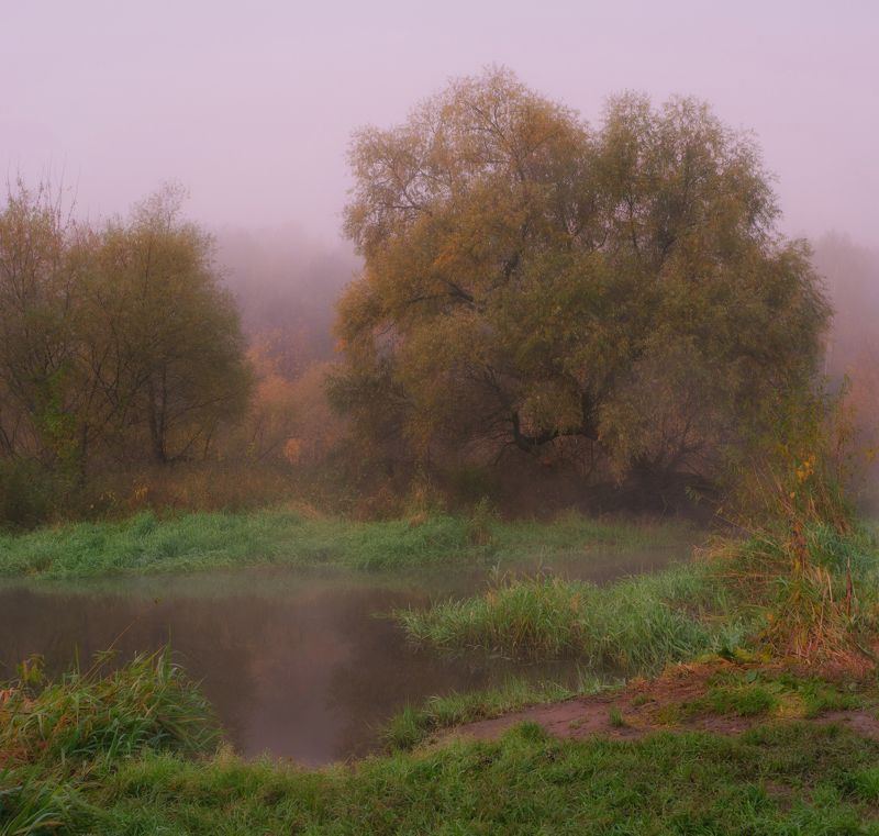 Тихая осеньphoto preview