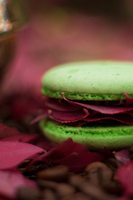 International Floral Art 2016-2017photo preview