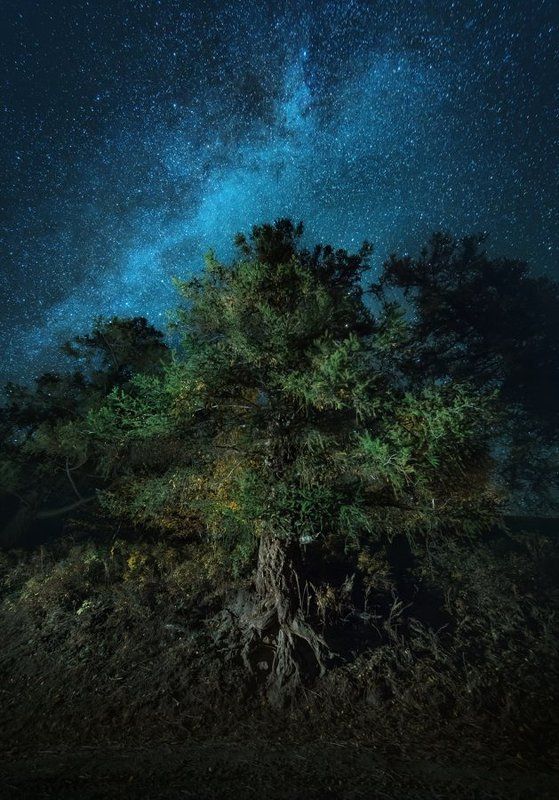 Великанphoto preview