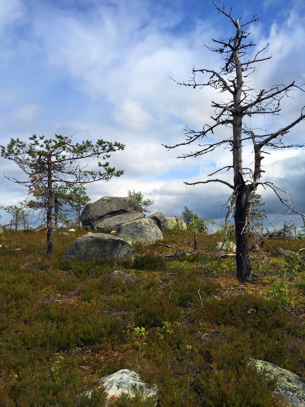 Воттоваараphoto preview