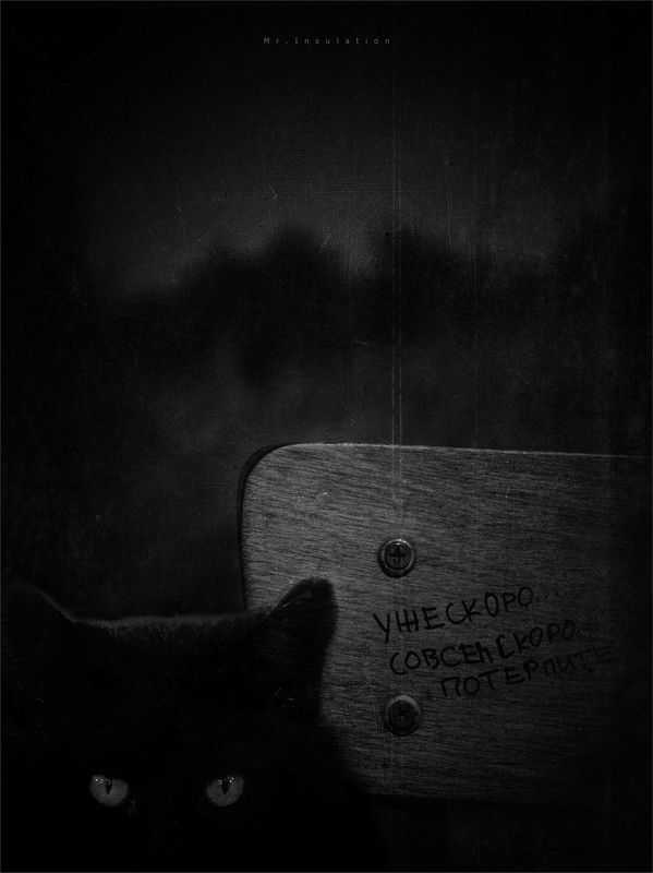 Уже скороphoto preview