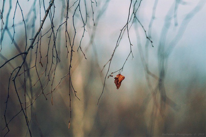 I Will Fallphoto preview