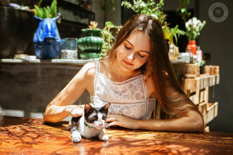 Sunshine and Catphoto preview