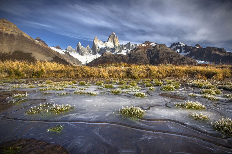 Ёжики на льду 2photo preview