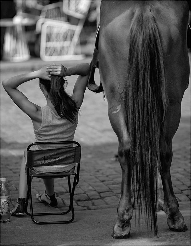 фото фото превью