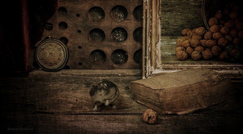 Книга, Натюрморт, Орехи, Роман Шафовал, Хомяк, Часы мечты сбываются....photo preview
