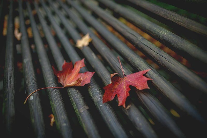 Осеннее чувство...photo preview