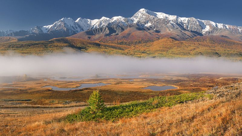 Алтайские зарисовки Iphoto preview