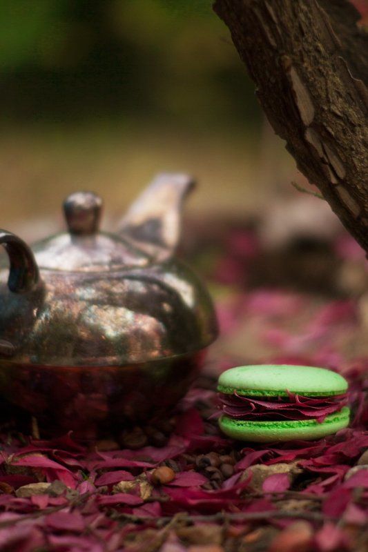 International Floral Art 2016-2017photo preview