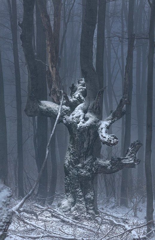 На Шипке все спокойно...photo preview