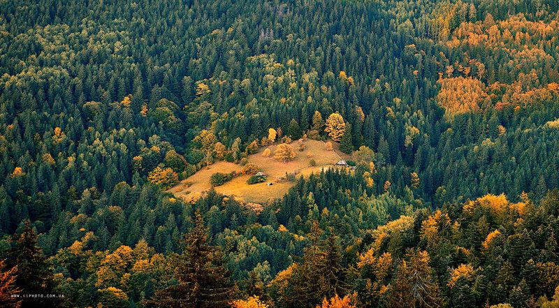 Карпаты Карпатская осень.photo preview