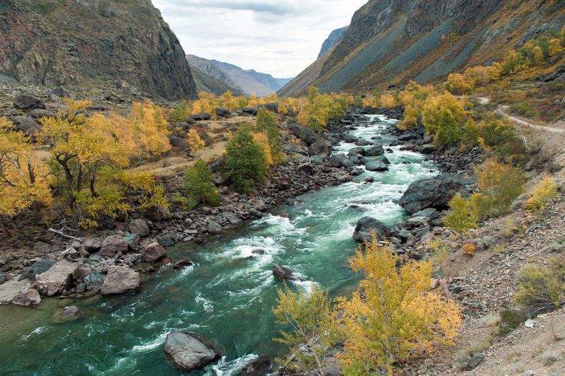 Autumn, Горный алтай, Горы, Изумрудная река, Осень, Река Изумрудный Чулышманphoto preview