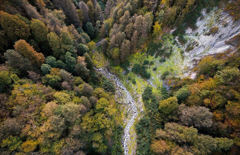 С высоты птичьего полетаphoto preview