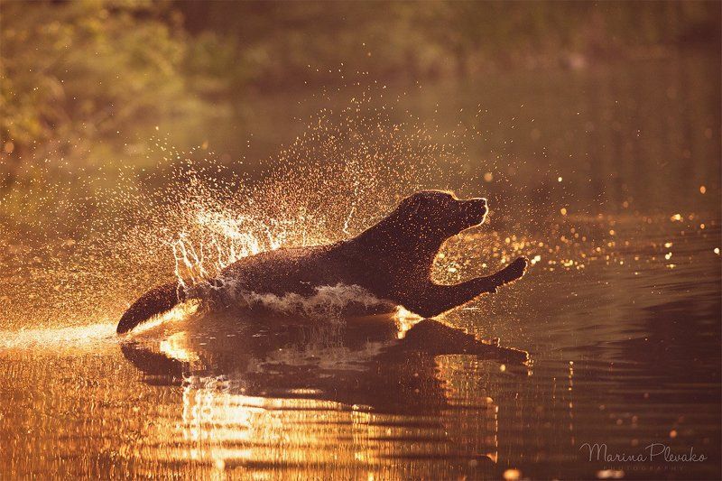 Портфолиоphoto preview