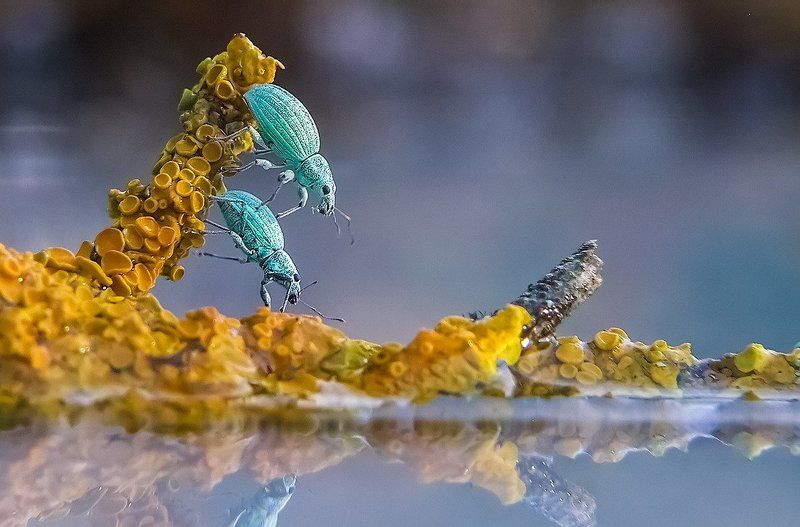 Синхронное прыганьеphoto preview