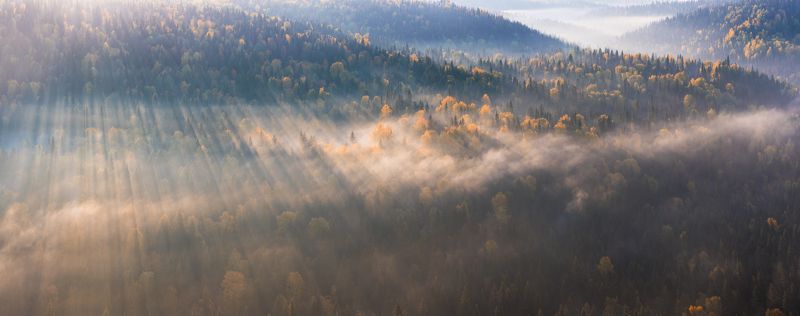 Золотая осень, Осенний пейзаж, Панорама, Пейзаж, Пермский край, Тайга, Туман, Урал, Усьва, Усьвинские столбы Уральская тайгаphoto preview