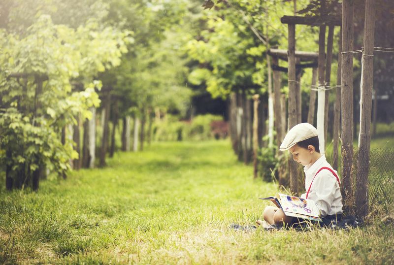 storytimephoto preview