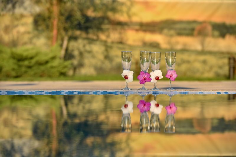nature, glasses, reflection, water Wedding Glassesphoto preview