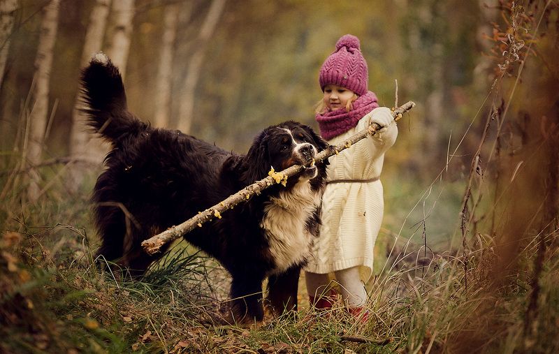 Варяphoto preview