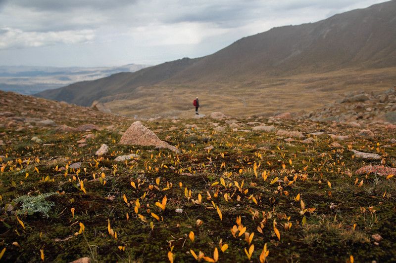 Перевал Айдарыс и Казачьи озера : Казахстанphoto preview
