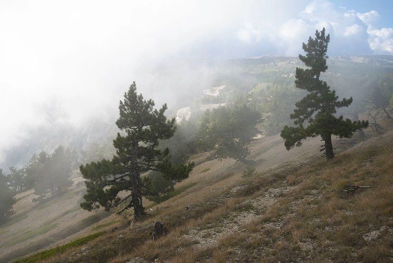 Туман и солнце....photo preview