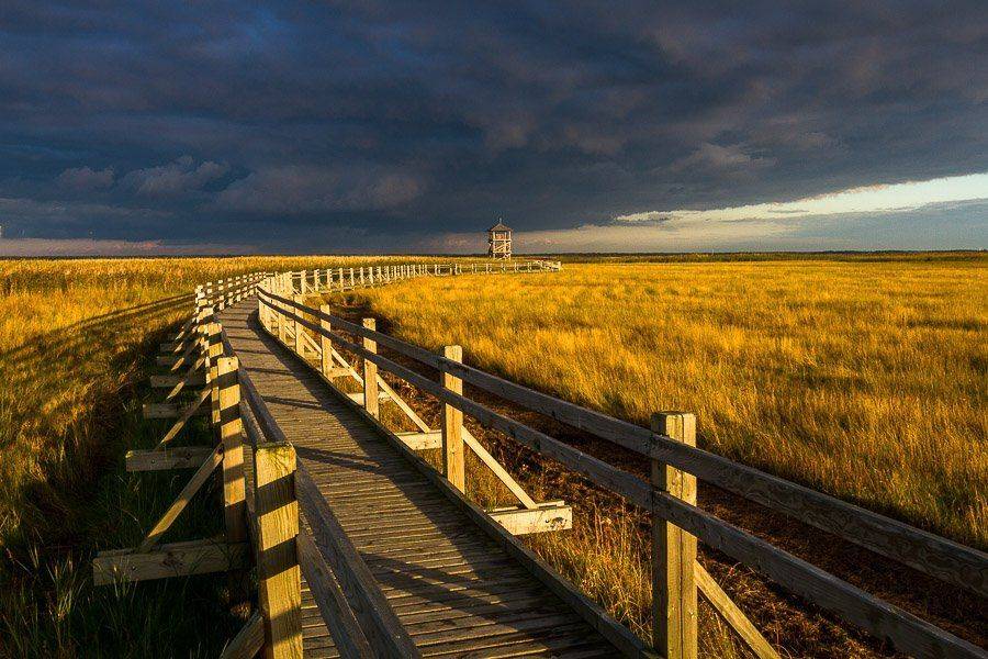 Автор: Eriks Zilbalodis , Eriks Zilbalodis