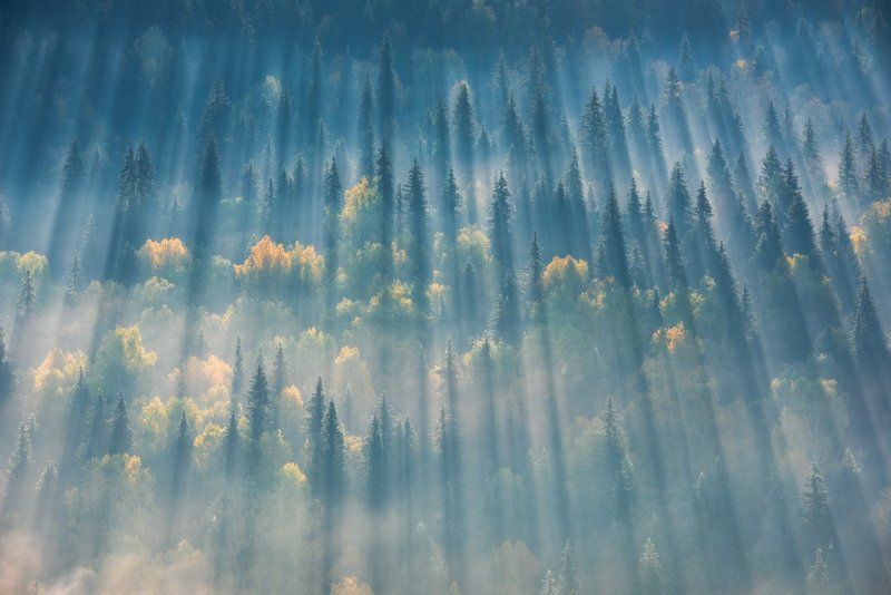 Лес, Лучи, Осенний лес, Осенний пейзаж, Пейзаж, Пермский край, Рассвет, Россия, Тайга, Туман, Урал, Усьва, Усьвинские столбы, Утро Первые лучиphoto preview