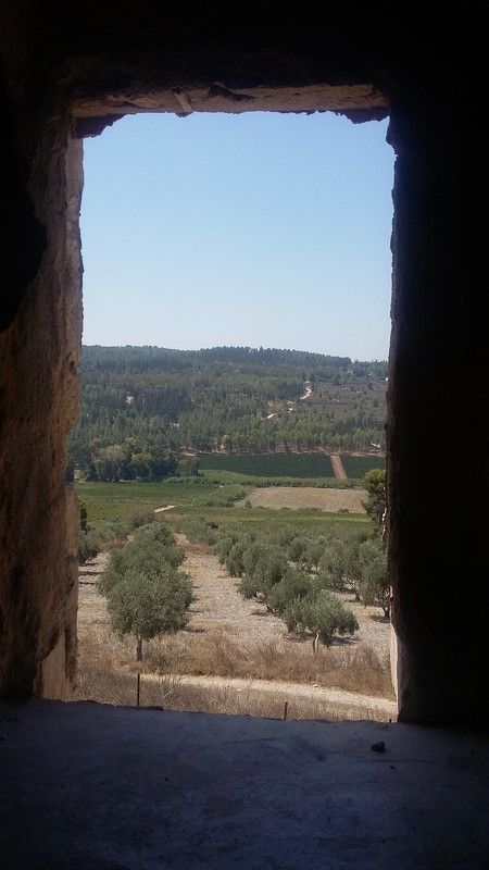 Взглядphoto preview