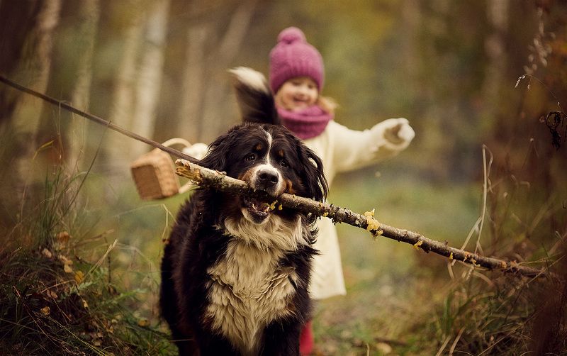 Варяphoto preview