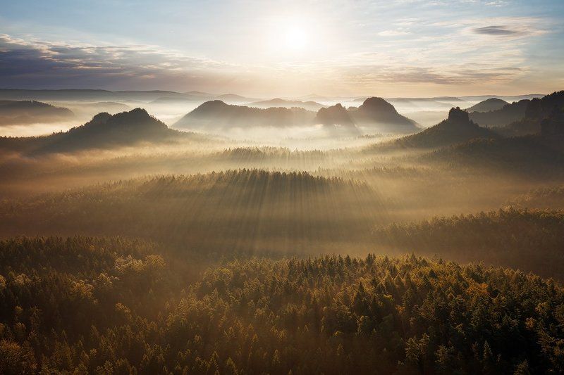 landscape, nature, light, fog, mist, sunrise, germany, saxon switzerland, trees, forest, mood, atmosphere Summer Morningphoto preview